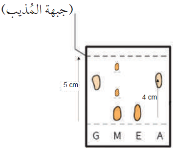 الكروماتوجرافيا